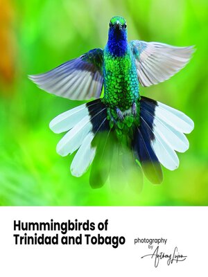 cover image of Hummingbirds of Trinidad and Tobago